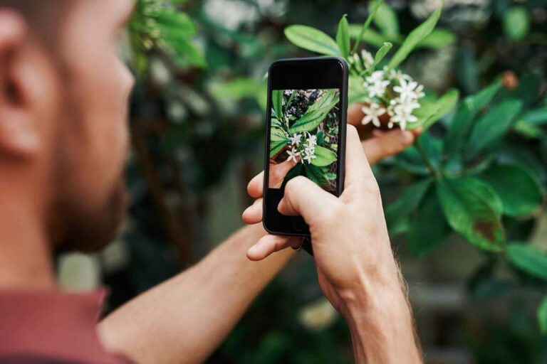 A man taking a photo of a flower on his phone